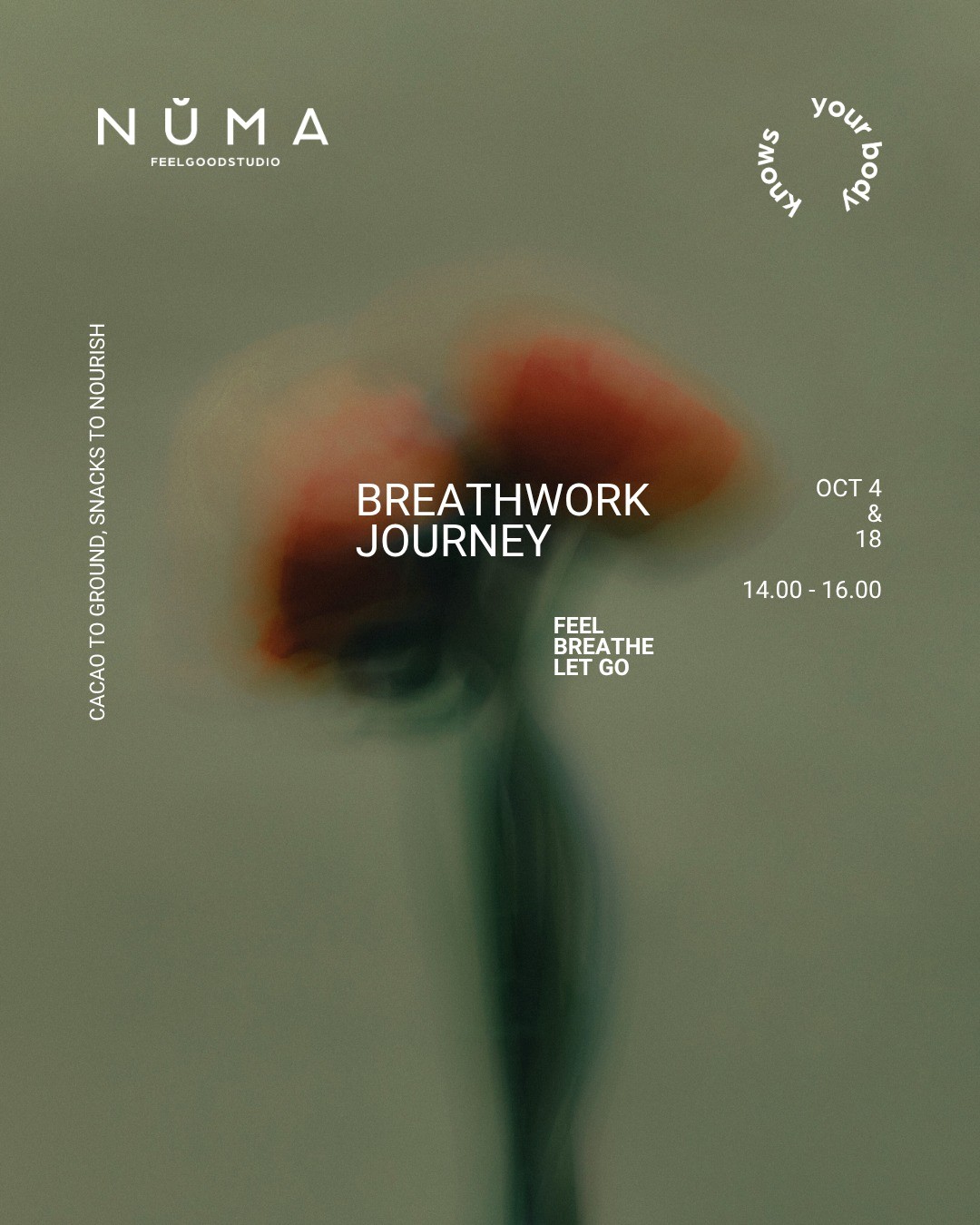 BREATHWORK JOURNEY